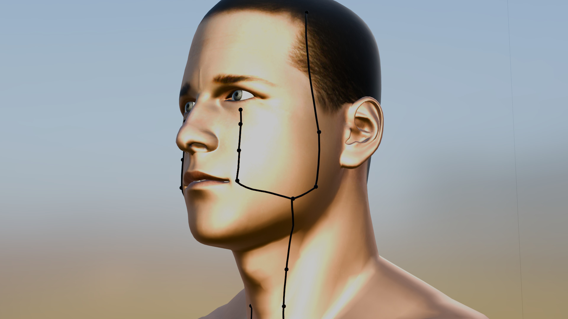 ST-5 and ST-6 on 3D Stomach meridian — left profile