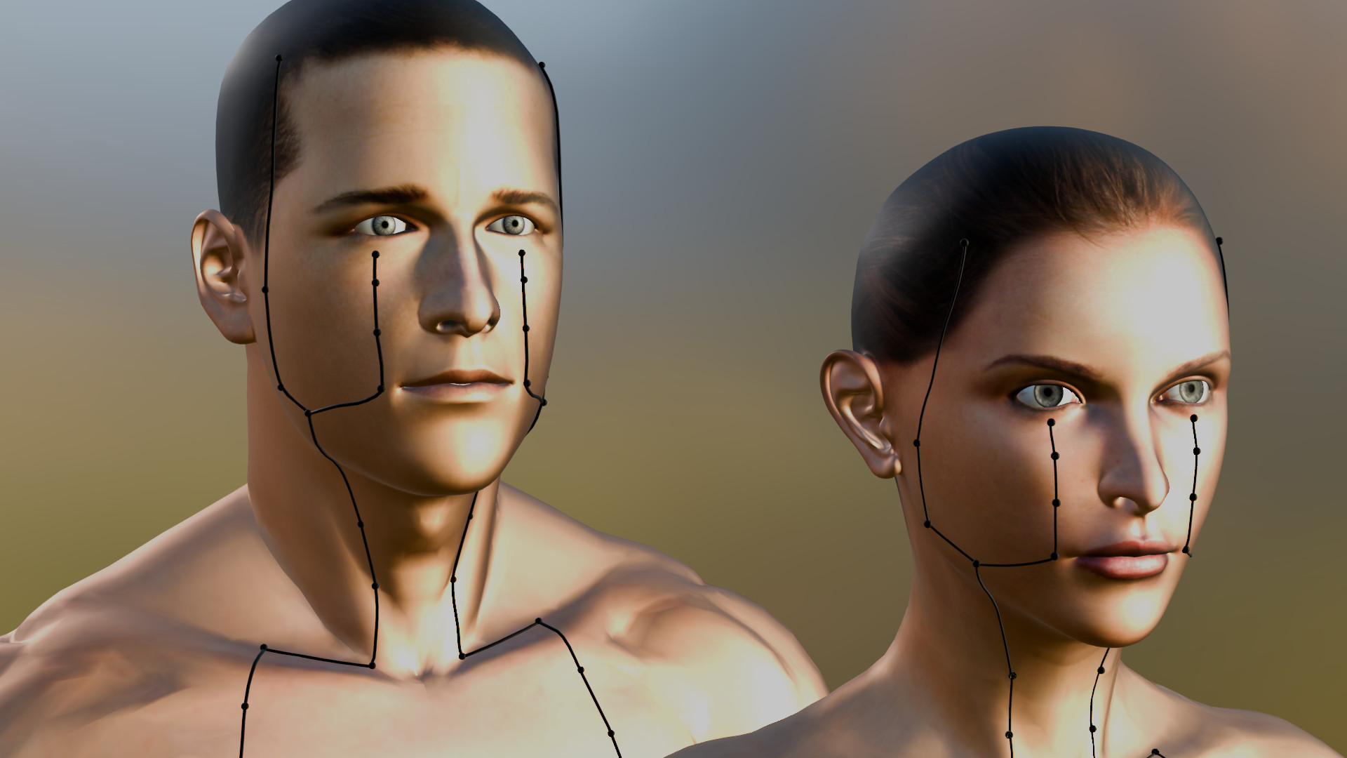 ST meridian — male and female head reference