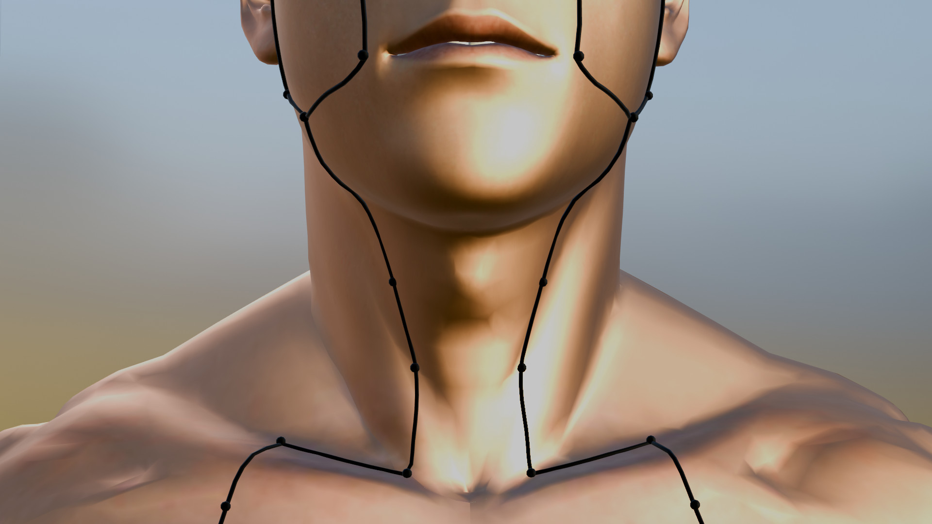 ST-5 and ST-6 — 3D jaw and throat close-up